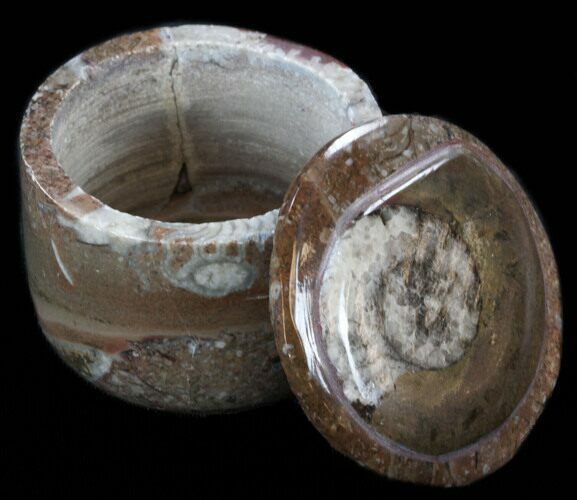 Small Fossil Goniatite Jar (Brown) - Stoneware #35176